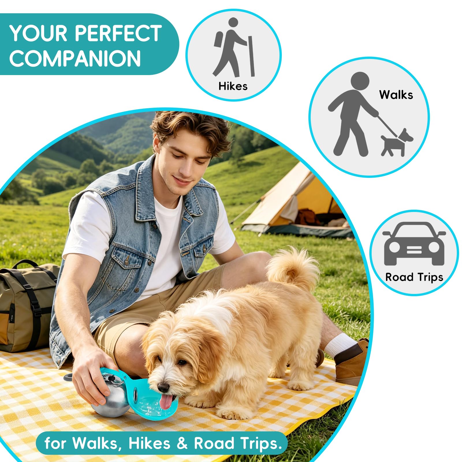 2-in-1 Portable Dog Water Bottle with Foldable Bowl – 10oz Stainless Steel - Morrowden