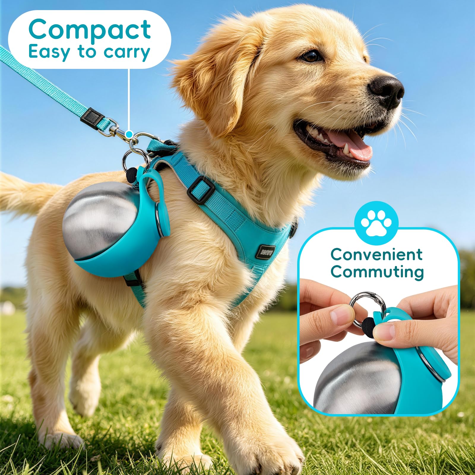 2-in-1 Portable Dog Water Bottle with Foldable Bowl – 10oz Stainless Steel - Morrowden