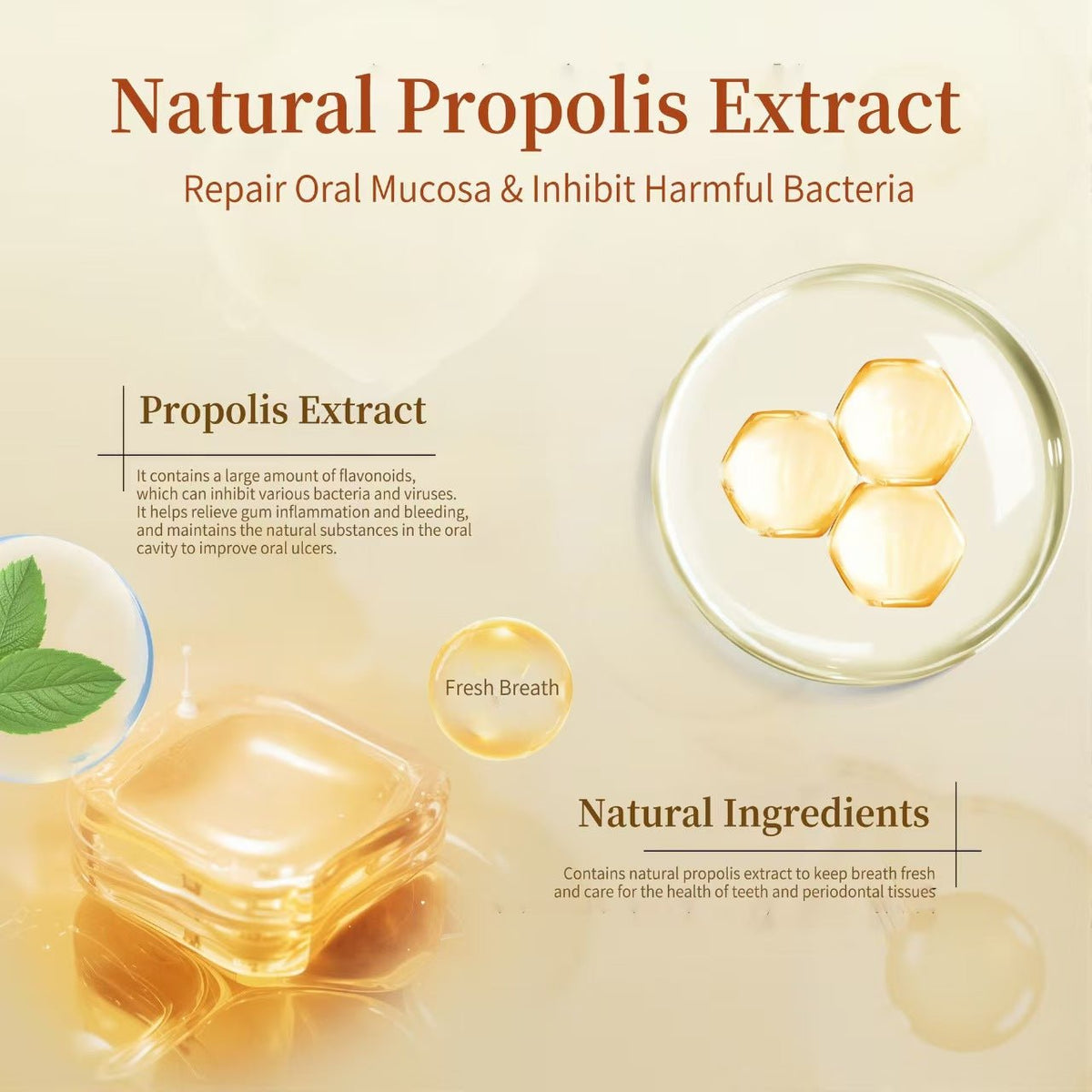 3-PackPropolis Gum Care Toothpaste – Natural Oral Care for Fresh Breath3-Pack - Morrowden