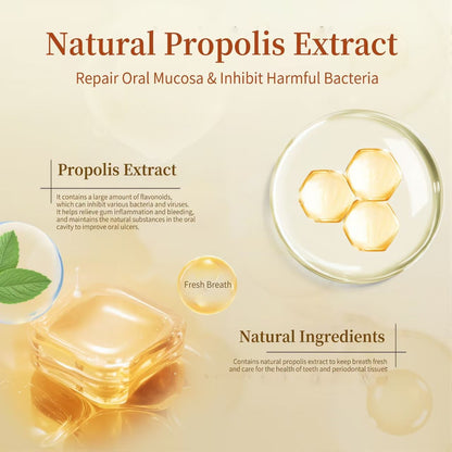 3-PackPropolis Gum Care Toothpaste – Natural Oral Care for Fresh Breath3-Pack - Morrowden