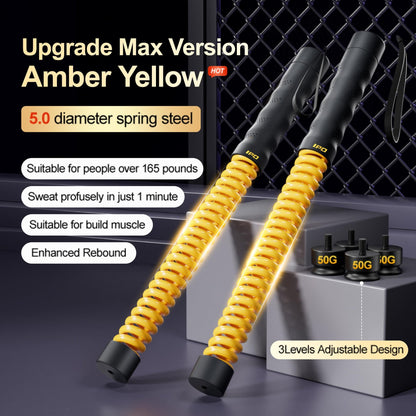 Upgrade Weighted Ropeless Battle Ropes, Heavy Duty Portable Cordless Battle Ropes for Home Gym with Poster, Workout Exercise Rope for Strength Building, HIIT and Low-Impact Aerobic Training for Men & Women - Morrowden